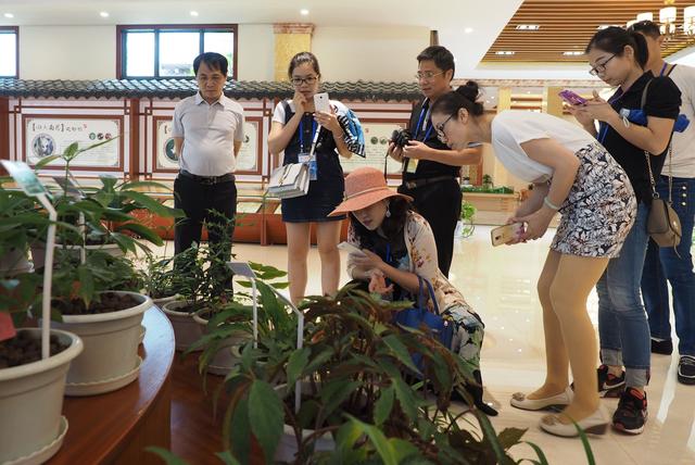 社区新闻:邓州有小姐么?本地人带你挖掘真实答案与深层解析