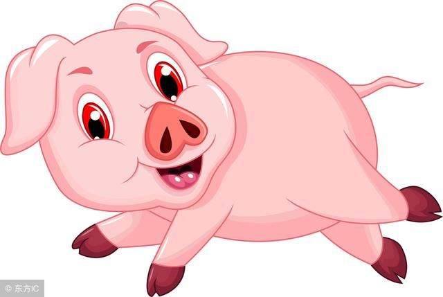 生肖猪的未来10年里,看完谁说不哭?你家有吗?