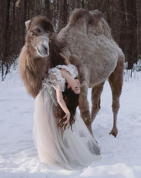 人物,是olga拍摄的重点,但一大波动物更是她镜头下必不可少的重要因素