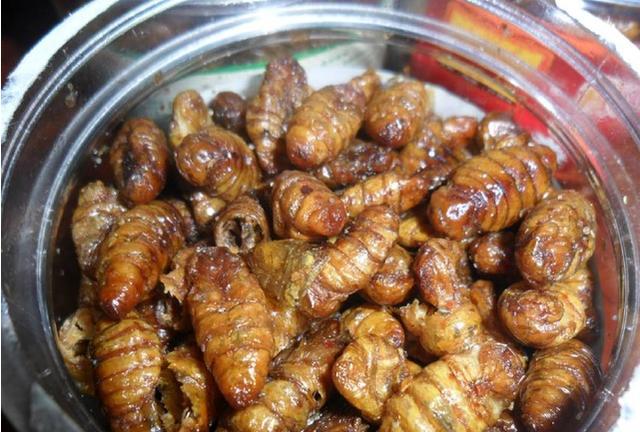 蚕蛹怎么吃（蚕蛹怎么吃营养价值高）-85模板网