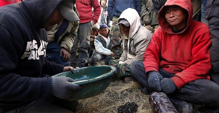 直击蒙古的"忍者淘金工": 牧民化身偷金贼, 草地里挖孔淘出黄金