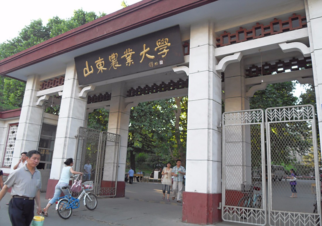 青岛农业大学原为莱阳农学院,2007年由县级市莱阳搬到山东青岛,并更名