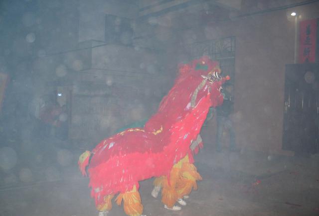 舞狮耍杂技是过年那味儿,可是南狮和北狮你知道吗?发财中国年