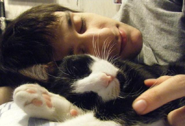 抱猫对蓝星人也有好处