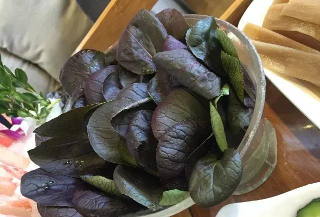 盆栽紫松菜就是门口那店内自种的青菜.