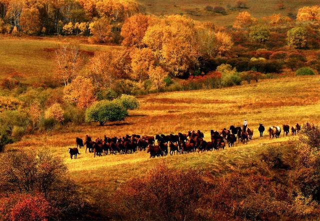南京乡村旅游景点排行_南京十大乡村游_南京乡村游有哪些景点