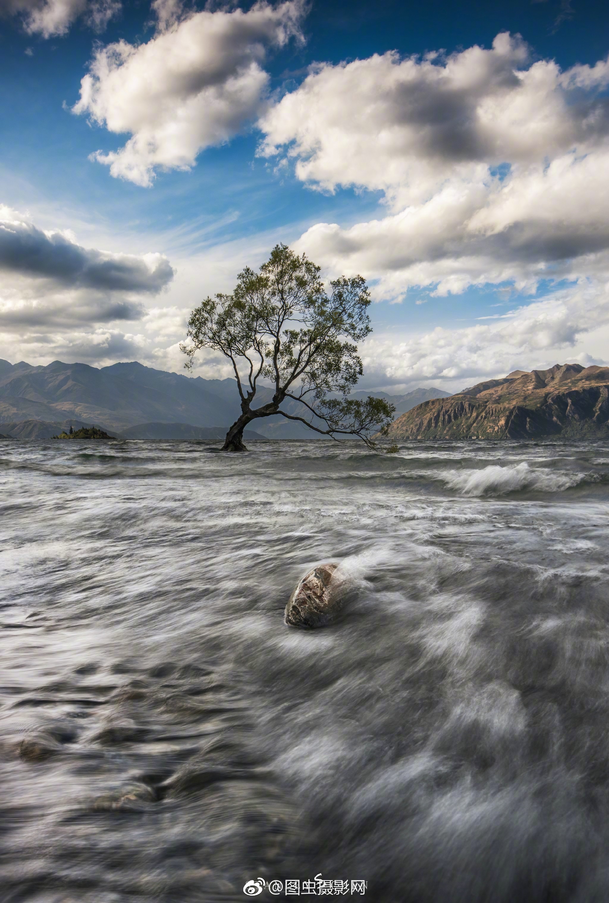 40ms的风在山谷呼啸波浪中的孤树在湖上摇曳
