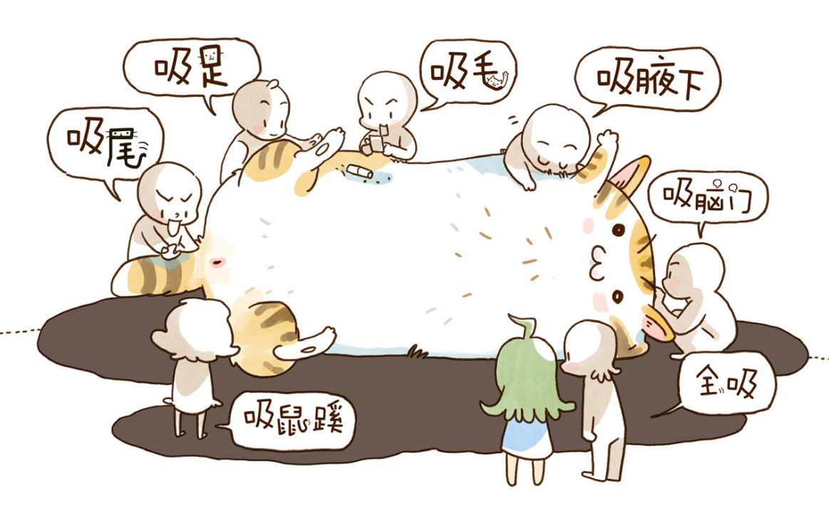 网友:一定会有猫的