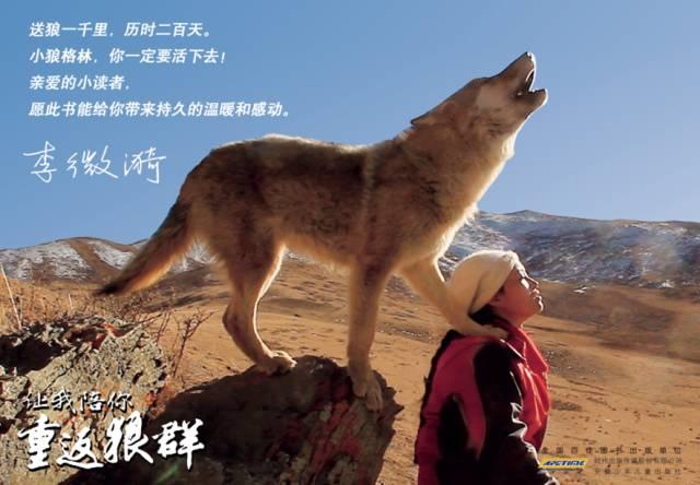 都市不是格林童话无论如何我都会陪你重返狼群