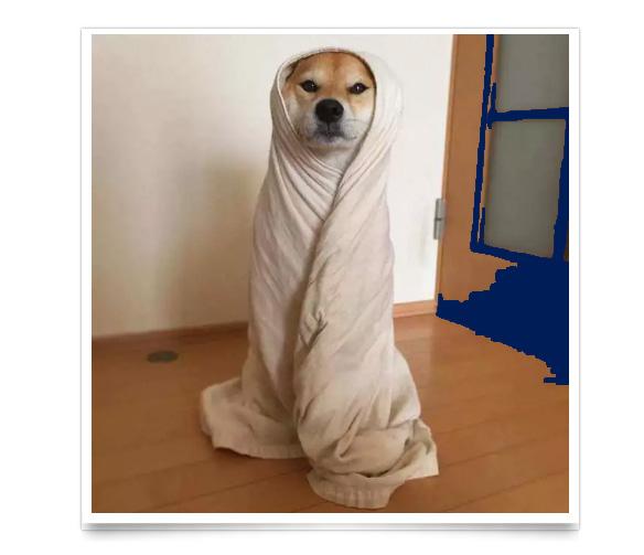 颤抖吧狗狗!即便你有皮毛也不管用
