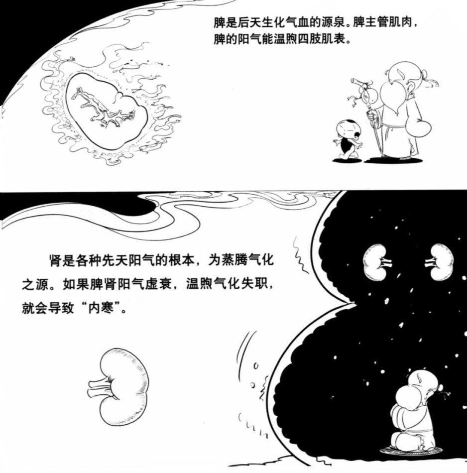 中医理论——内生五邪