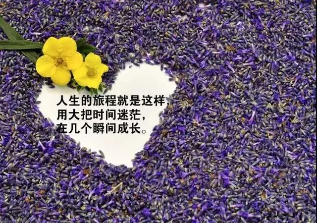 朋友圈治愈心灵的句子一切顺其自然最好的自己留给最好的人