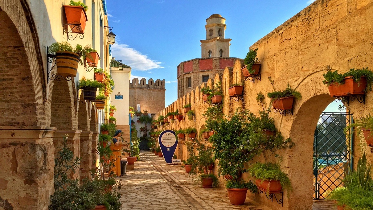 突尼斯在哪(突尼斯在哪儿地图)