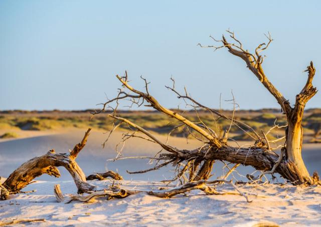 人生要活得精彩,走的路要比他人多——西北环线游