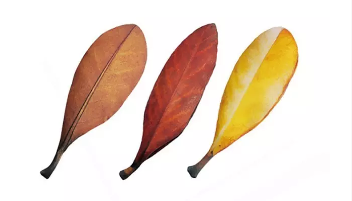 她做了一些叶子造型的家居美饰后,简直美哭了……