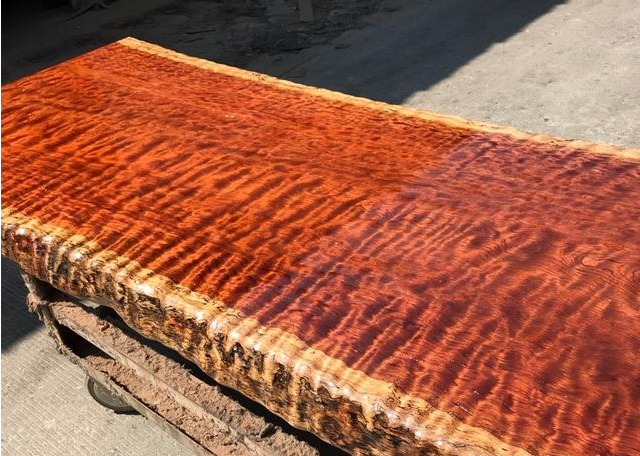 全世界唯一的红色木头切开如血般鲜艳没想到却是木界奢侈品