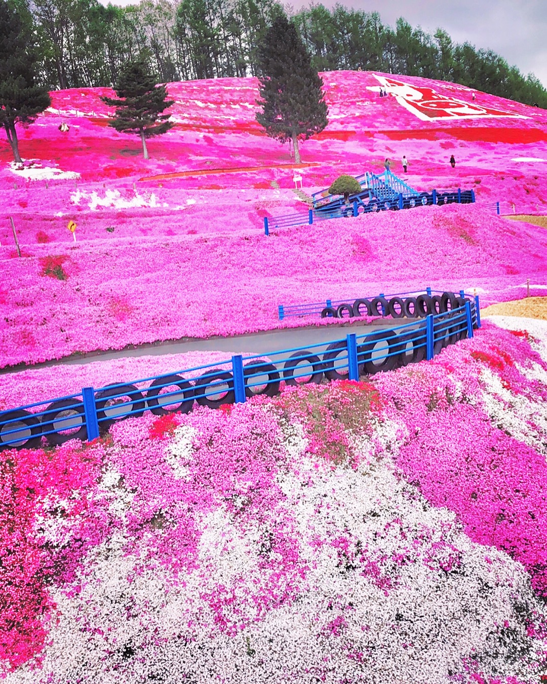 无聊的游戏 李玲玉