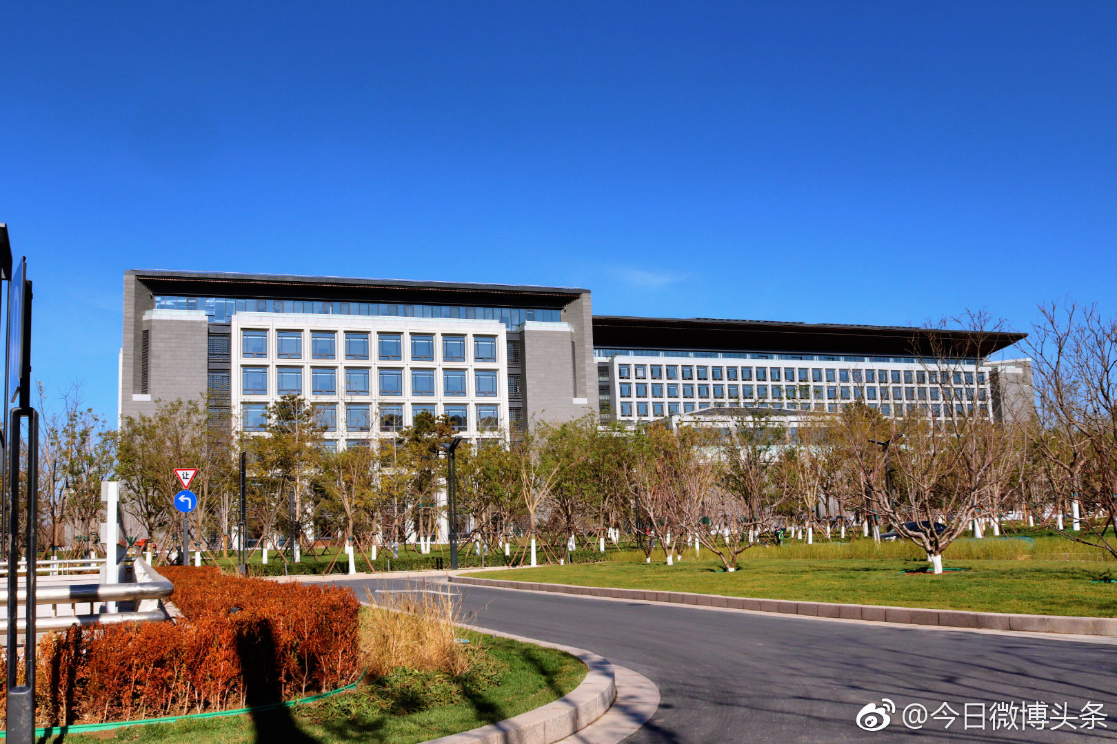 坪山鸡窝一条街搬迁始末,新址选址逻辑与商户生存现状调查