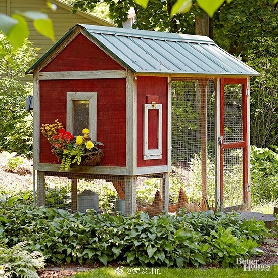 做一只鸡也要住好的房子