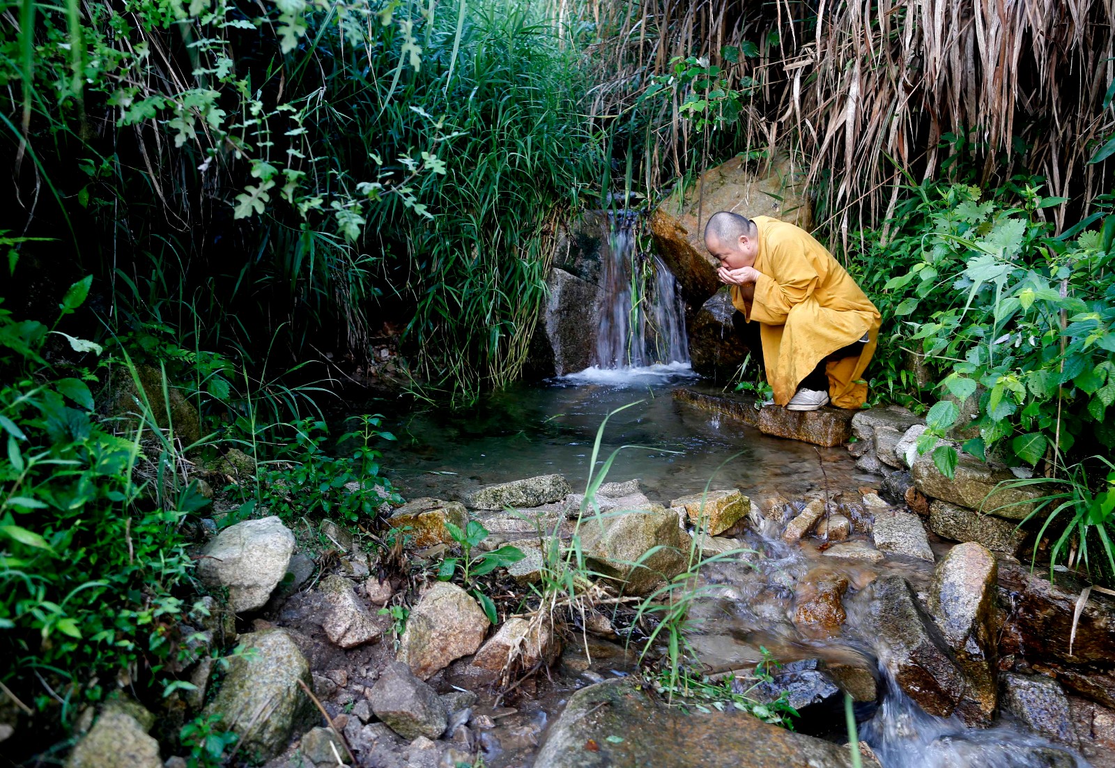 一山一寺一禅僧天天念佛求往生