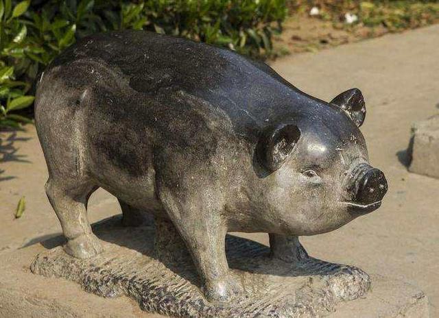 这4大生肖女性天生招财,年龄越大招财越多|生肖|属猪|生肖蛇_新浪新闻