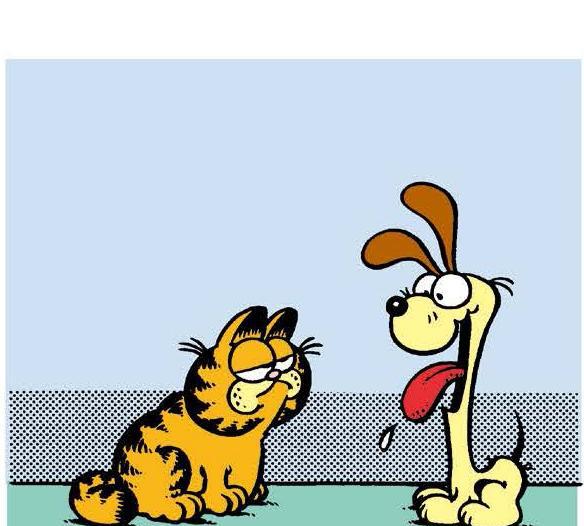 加菲猫漫画败家讲坛之狗的进化史听加菲猫教授是怎么说的