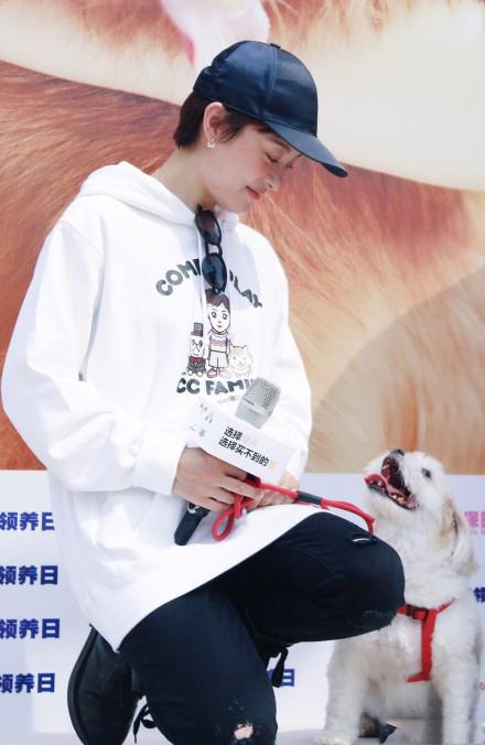 孙俪为公益拍新书,怀抱小狗超有爱心