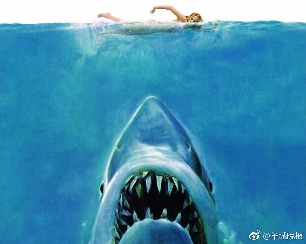 电影《巨齿鲨》热映,这种恐怖的史前生物一时备受关注.