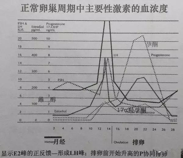 ①促卵泡生成素fsh:促卵生成激素是大脑分泌促进卵巢的卵泡生长发育