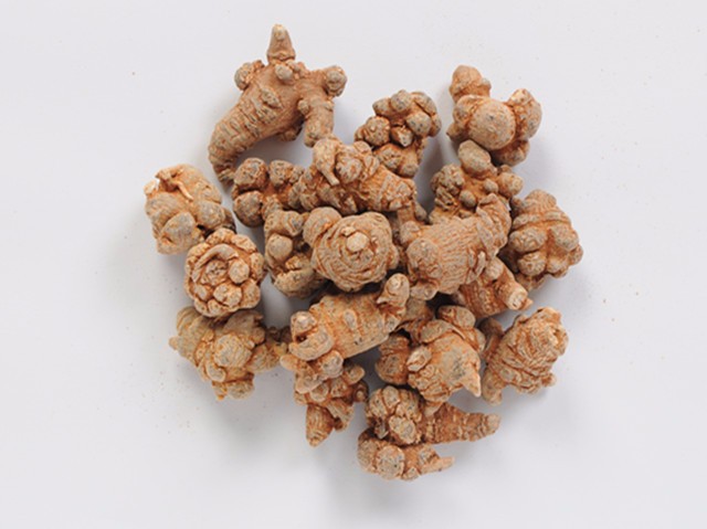 中国传统中医学认为:文山三七,味甘而微苦,温通而入血分,功善止血,又