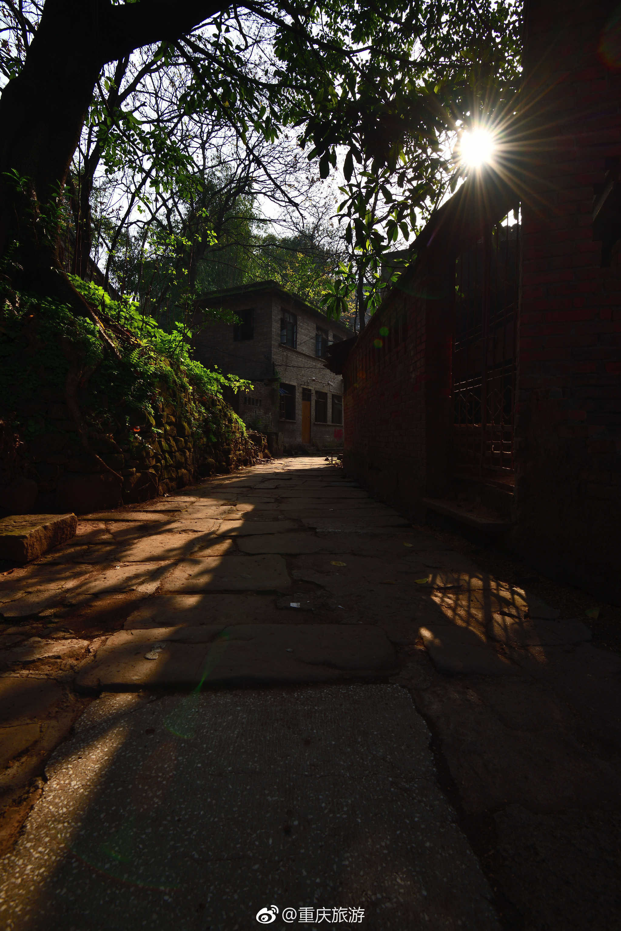 黄葛古道|古道|重庆|黄桷垭_新浪新闻