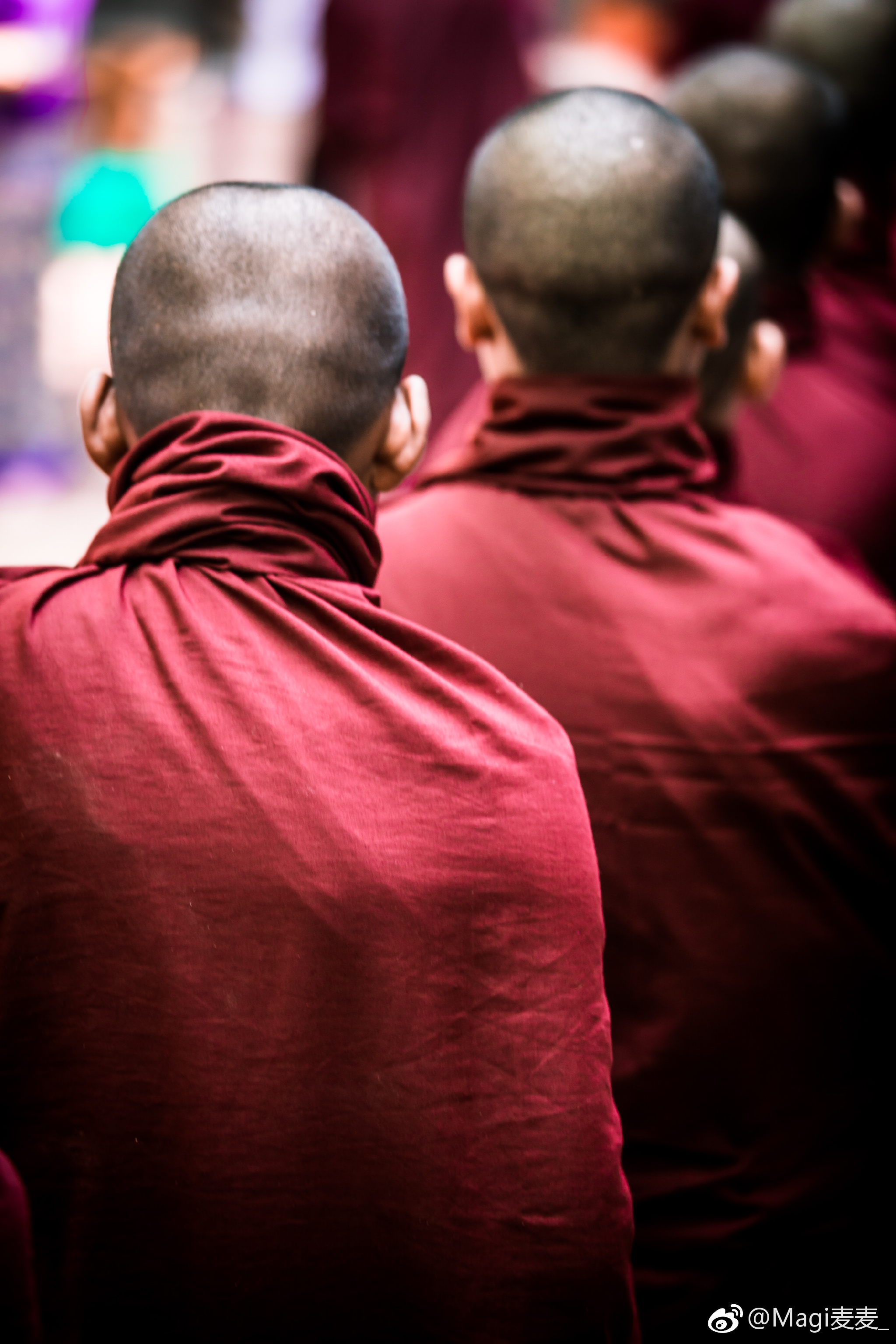 在大街小巷,轻易就能看到僧人,尼姑的身影|尼姑|僧人|小沙弥_新浪新闻