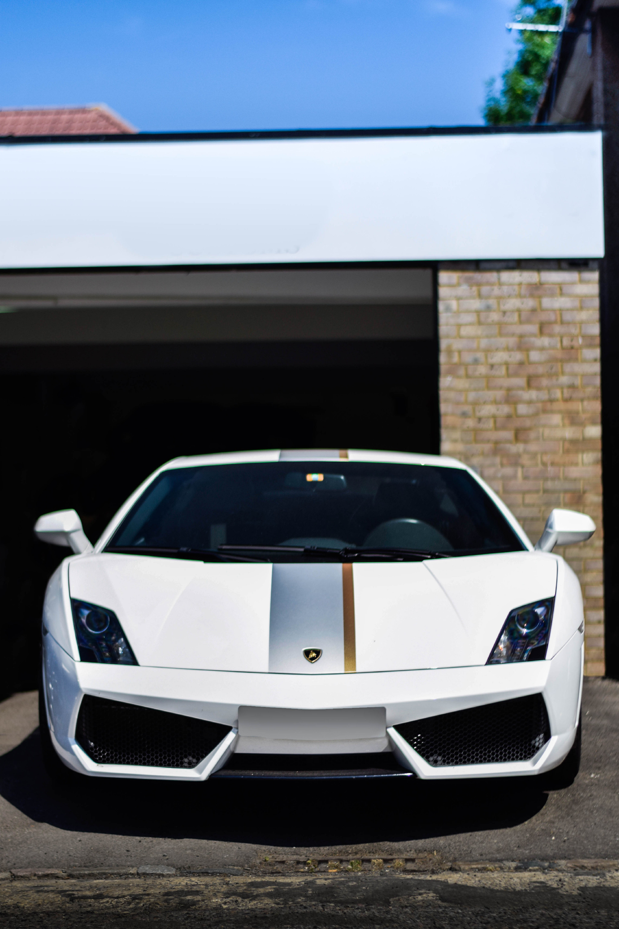 兰博 盖拉多_新浪看点