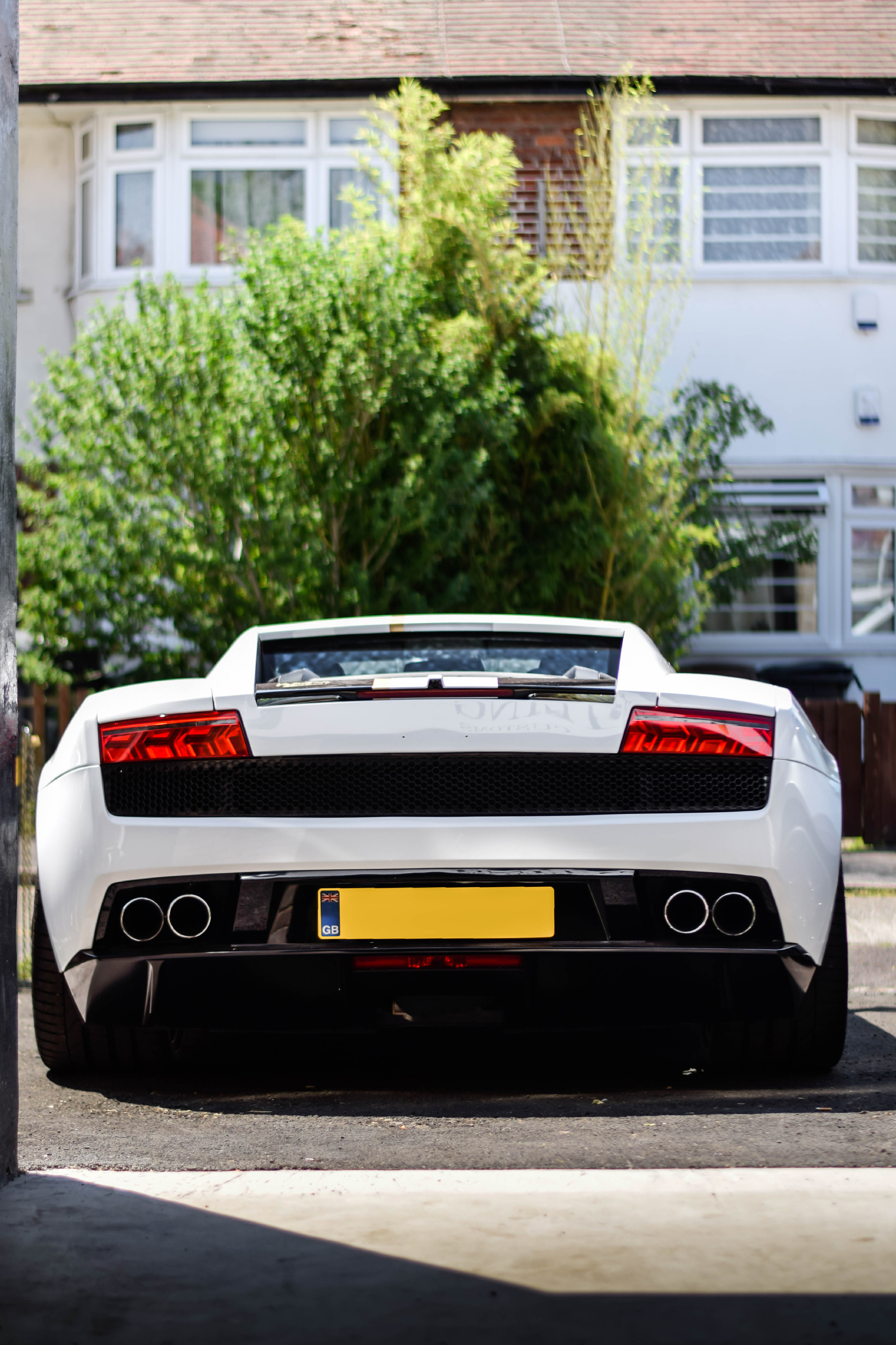 兰博 盖拉多_新浪看点