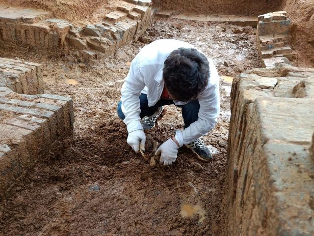 72歲老人請人挖魚塘,挖出1400年前古墓,出土文物50餘件