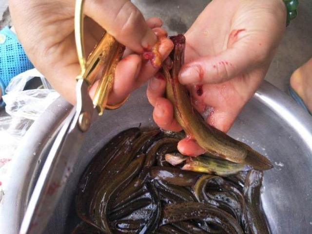 泥鳅钻豆腐豆腐切小块我看着你钻