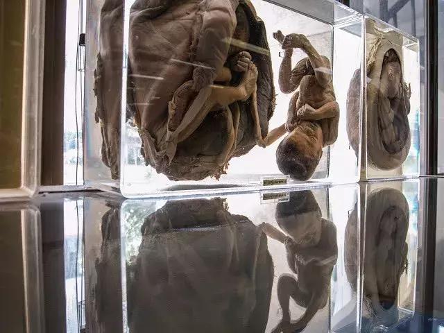 有价值,有浪漫,更有惊吓……|泰国|博物馆|曼谷_新浪新闻