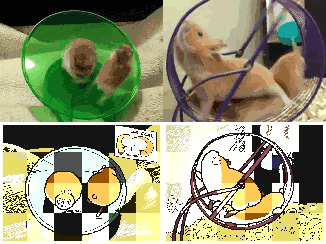 变成gif的动物们,瞬间蠢萌|狸花猫|鱼饼|纹路_新浪新闻