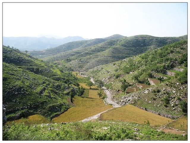 母親河,為鶴壁,安陽所共享)為依託,涵括清水池,華林洞,黃廟溝森林公園