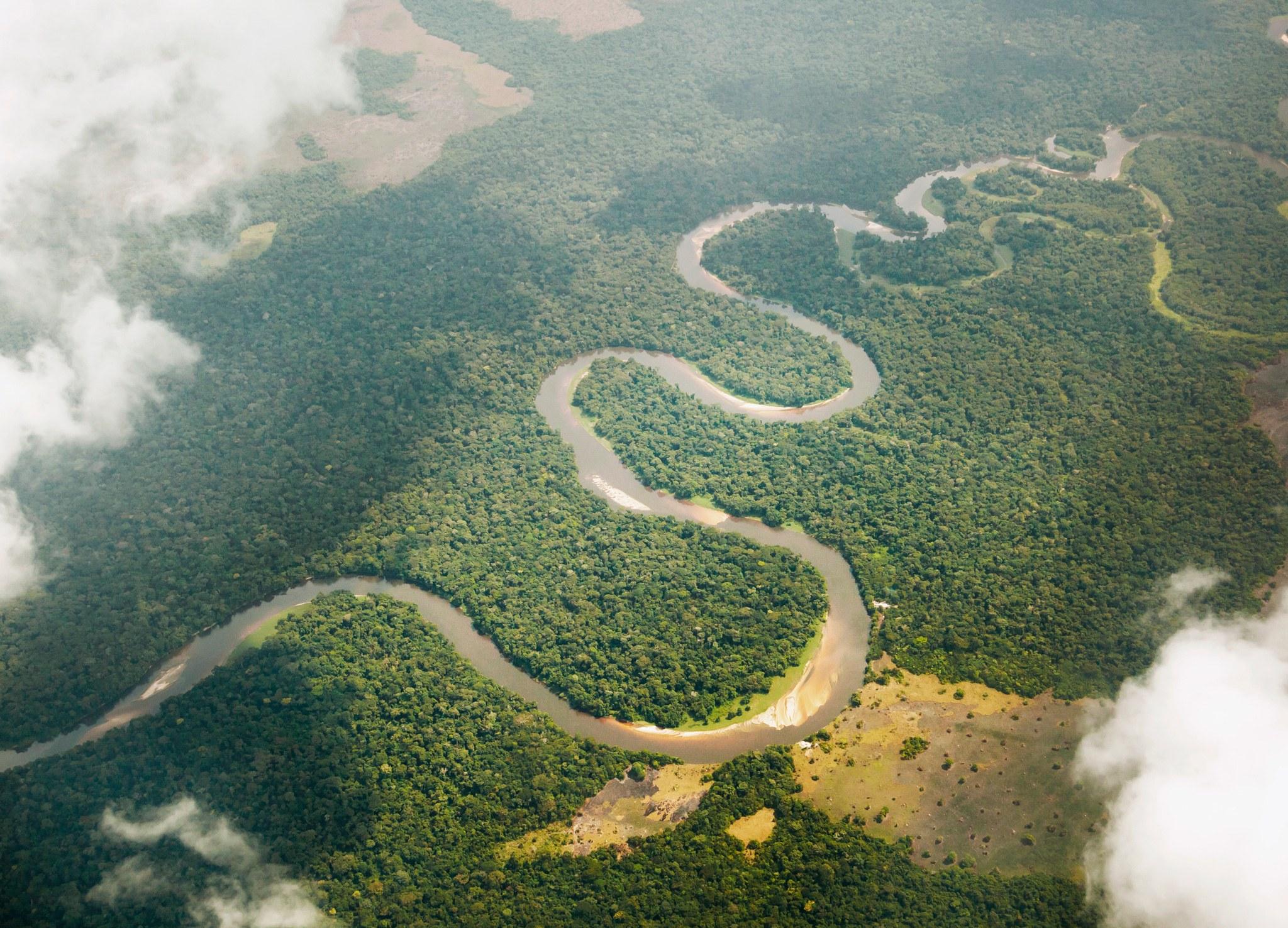 刚果盆地土壤图片