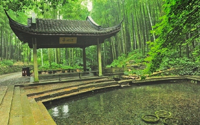 身心已逐竹林游,为国搜贤事却优|身心|幽篁|竹露滴清响_新浪新闻