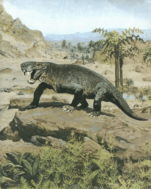 早期的丽齿兽体型一般不大于一只狗,它有一个称号:二叠纪的野狼|二叠