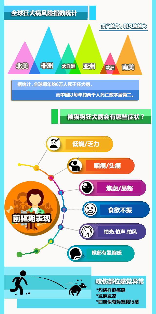 面对致死率100%的狂犬病,这些无处安放的流浪狗该何去何从?