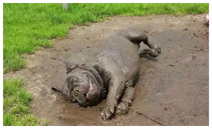 溅滚玩泥巴你说呢我听不见