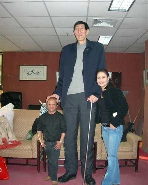 热点: 中国十大巨人, 姚明未上榜?