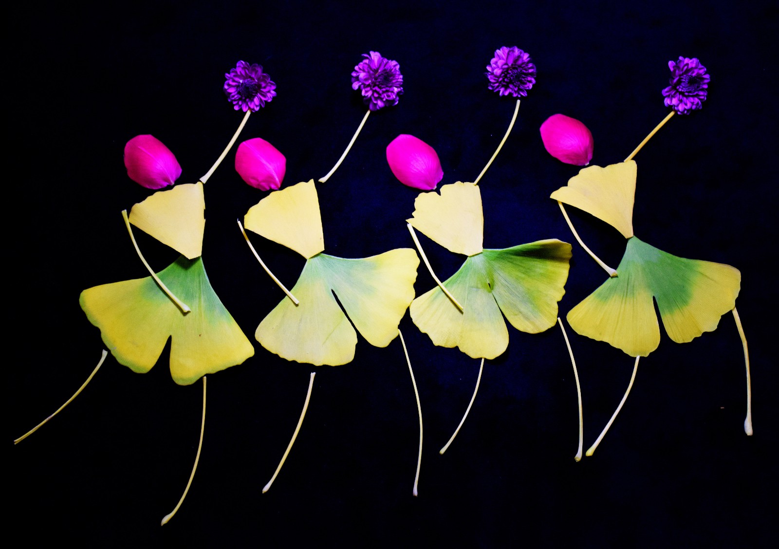 树叶"神"变"美女":舞姿曼妙惊艳世界