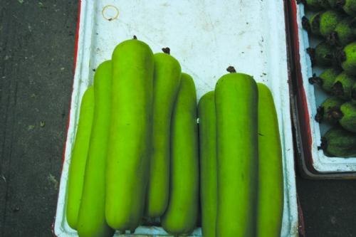 夏季别随便吃4道菜,很容易食物中毒|瓠子|瓠瓜|豆角_新浪新闻