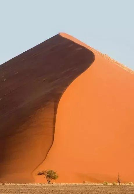 竖向构图可以有视觉延伸的效果,将物体拍出宏伟的形象.