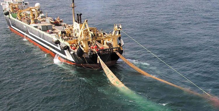 世界自然保护联盟曾一再强调,如果不遏制这些过度捕捞的渔船,本世纪很