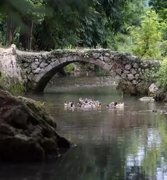 带父母到阳山小江镇,走一趟知青之旅